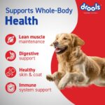 Drools Adult Dry Dog Food, 20kg | Chicken and Egg Flavour | Brain Development | Easily digestible | Growth and Development - Image 4