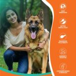 Optima Dry Dog Food Adult 10 KG | Chicken & Vegetable | Complete and Balanced Optimum Nutrition for Pedigree Dogs | Great Taste & Easy Digestion - Image 6