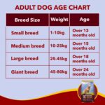 Meat Up Adult Dry Dog Food 3kg + 3kg (Free) 6kg | Meat & Rice Flavour | Buy 1 Get 1 Free | Healthy Skin & Beautiful Coat |Healthy Joints and Strong Bones |Prebiotics & Probiotics for Healthy Digestion - Image 7