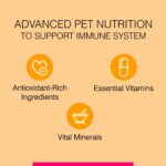 Canine Creek Ultra Premium Puppy Dry Dog Food, 4kg Pack - Image 5