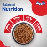 Drools Adult Dry Dog Food 10kg | Chicken & Egg Flavour | Omega 3 & 6 for Healthy Growth | Better Digestibility & Health | Maintains Joint Health | Helps Control Tartar Build Up - Image 5