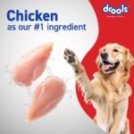 Drools Adult Dry Dog Food 10kg | Chicken & Egg Flavour | Omega 3 & 6 for Healthy Growth | Better Digestibility & Health | Maintains Joint Health | Helps Control Tartar Build Up - Image 8
