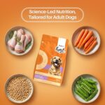Adult Dry Dog Food Chicken & Vegetable | Dog Food Adult with Real Chicken Protein & Vegetables | Dog Dry Food for Daily Nutrition | No Artificial Additives | 1kg - Image 5