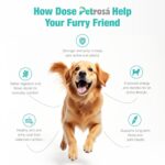 Medium Breed Puppy Dog Food (2–12 Months), Balanced Growth Formula with Essential Nutrients, Supports Bone Development, Immunity & Healthy Digestion – 4 Kg - Image 4