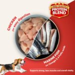 DatGud Adult Dry Dog Food, Chicken & Brown Rice, 2 kg(1 kg + 1 kg Free) | Complete & Balanced Nutrition | Weight Management Support | Glucosamine for Joints | Easy Digestion | Healthy Skin & Coat - Image 3