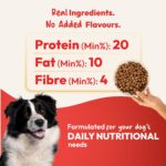 DatGud Adult Dry Dog Food, Chicken & Brown Rice, 2 kg(1 kg + 1 kg Free) | Complete & Balanced Nutrition | Weight Management Support | Glucosamine for Joints | Easy Digestion | Healthy Skin & Coat - Image 5
