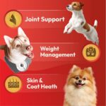 DatGud Adult Dry Dog Food, Chicken & Brown Rice, 2 kg(1 kg + 1 kg Free) | Complete & Balanced Nutrition | Weight Management Support | Glucosamine for Joints | Easy Digestion | Healthy Skin & Coat - Image 6