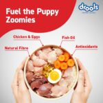 Drools Puppy Dry Dog Food Inside Container 5kg | Chicken and Egg Flavour | Digestive Support | Immune Boosting | DHA Helps in Brain Development | Highly Palatable - Image 4
