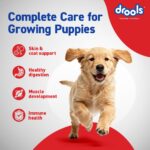 Drools Puppy Dry Dog Food Inside Container 5kg | Chicken and Egg Flavour | Digestive Support | Immune Boosting | DHA Helps in Brain Development | Highly Palatable - Image 6