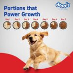 Drools Puppy Dry Dog Food Inside Container 5kg | Chicken and Egg Flavour | Digestive Support | Immune Boosting | DHA Helps in Brain Development | Highly Palatable - Image 7