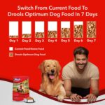 Drools Adult Dry Dog Food Optimum Performance 10kg Pack | Chicken Flavour | Optimum Ratio of Protein and Energy | High Grade Protein, Vitamins and Minerals | Easily Digestible - Image 5
