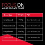 Drools Focus Premium Adult Dry Dog Food 1.2kg Pack | Chicken Flavour | Growth & Intelligence | Digestive Health | Healthy Skin & Coat | Improves Immunity - Image 7