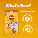 Pedigree Puppy Dry Dog Food, Chicken & Milk, 10 kg, Contains 37 Essential Nutrients, 100% Complete & Balanced Food for Puppies - Image 3