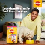 Pedigree Puppy Dry Dog Food, Chicken & Milk, 10 kg, Contains 37 Essential Nutrients, 100% Complete & Balanced Food for Puppies - Image 4