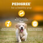 Pedigree Puppy Dry Dog Food, Chicken & Milk, 10 kg, Contains 37 Essential Nutrients, 100% Complete & Balanced Food for Puppies - Image 7
