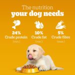 Pedigree Puppy Dry Dog Food, Chicken & Milk, 10 kg, Contains 37 Essential Nutrients, 100% Complete & Balanced Food for Puppies - Image 10