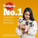 Pedigree Puppy Dry Dog Food, Chicken & Milk, 10 kg, Contains 37 Essential Nutrients, 100% Complete & Balanced Food for Puppies - Image 11
