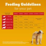 Pedigree Puppy Dry Dog Food, Chicken & Milk, 10 kg, Contains 37 Essential Nutrients, 100% Complete & Balanced Food for Puppies - Image 14