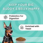 BARK OUT LOUD Essentials Adult Dog Food for Medium & Large Breed | Real Chicken & Egg | Gluten-Free, Prebiotics & Fish Oil for Immunity | Dry Dog Food for Labrador, Retriever, Husky – 3 Kg - Image 6