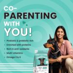 BARK OUT LOUD Essentials Adult Dog Food for Medium & Large Breed | Real Chicken & Egg | Gluten-Free, Prebiotics & Fish Oil for Immunity | Dry Dog Food for Labrador, Retriever, Husky – 3 Kg - Image 7