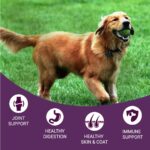 Bowlers Nutrimax Adult Dry Dog Food | Chicken & Vegetables | 20 kg Protein | Smooth Digestion & Healthy Coat | Complete & Balanced Nutrition | Enriched with Essential Amino Acids - Image 5