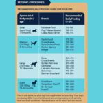 Bowlers Nutrimax Adult Dry Dog Food | Chicken & Vegetables | 20 kg Protein | Smooth Digestion & Healthy Coat | Complete & Balanced Nutrition | Enriched with Essential Amino Acids - Image 7