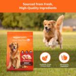 Amazon Basics Dry Dog Food | 5 Kg | Chicken & Rice | with Real Chicken Meat | Kibble for Adult Dogs | Packed with Protein | Suitable for All Breeds - Image 2