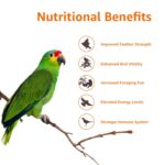 Amazon Basics Mix Seed Bird Food for Parrots, African Grey Parrot, Sun Conure, Macaw, Lovebird & Alexander | Bird Food for All Life Stages (1 kg) - Image 2