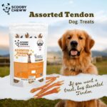 Assorted Tendon Dog Treats | 100% Natural, High-Protein, Low Fat | Healthy & Delicious Long-Lasting Chews | Perfect Snack for All Dog Sizes - Image 2