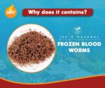 BOLTZ Freeze‑Dried Blood Worms Fish Food 25 g – Natural Premium Treat for Bettas, Tetras, Arowana, Flowerhorn, Oscar – Enhances Color, Appetite & Immunity – Made in India - Image 2