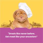 Barkbutler x Dogfest Chicken Fillet Bars|Dog Treats for Adult dog-90g|Dog Stick with 0% Artificial Colors, Flavors & Preservatives | #1 Ingredient is Meat | Human-Grade | for All Adult Breeds - Image 2