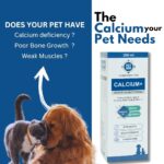 Calcium+ Advanced Mobility Formula with Calcium, Amino Acids & Vitamins for Dogs & Cats | Bone Growth, Muscle Strength & Nerve Support | Nutritional Supplements for Pets - 200 ml - Image 2