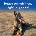 Chappi Adult (1+ Years) Dry Dog Food, Chicken & Rice, 2.8 kg, Complete and Balanced Food for Adult Dogs - Image 2