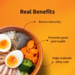 Daily Delight by HUFT Chicken, Pumpkin & Rice Dog Wet Food – 300 gm (Pack of 5) | Complete & Balanced High Protein Meal for All Breed Dogs | Soft & Tasty Recipe - Image 2