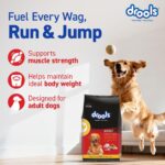 Drools Adult Dry Dog Food 10kg | Chicken & Egg Flavour | Omega 3 & 6 for Healthy Growth | Better Digestibility & Health | Maintains Joint Health | Helps Control Tartar Build Up - Image 2