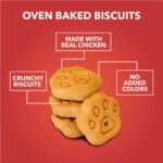 Drools All Life Stages Dog Treat Biscuits 400g Jar | Real Chicken Flavour | All Breed Formula | Promotes Lustrous Skin & Coat | Vitamins & Minerals | Reduces Tartar Build Up - Image 2