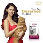 Grain Zero Adult Dry Cat Food 20kg | Ocean Fish, Sardine & Mackerel | 48% Fresh Fish Inclusion, No Grain Formula, Gluten-Free | Promotes Healthy Skin & Coat | All Breeds - Image 2