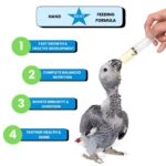 KEAT Hand Feeding Formula for All Baby Birds - 250 Gram | Natural Bird Feeding | Hand Rearing Powder Food for Cockatiel, Lovebirds, Parrot. Sunconure Growth Formula | Natural Ingredient - Image 2