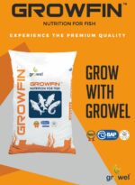 Logarithm Growel Fish Food, Floating Pellet Feed for Fishes,Turtile &Other Aquatic Pets 0.6Mm,1 Kg,All Life Stages, 1 Count - Image 2