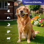 Non-Rawhide Dog Chews, Sandwich Roll White for Dogs, 225g | Safe & Digestible Treats | Healthy Chew Sticks for All Breeds & Sizes - Image 2