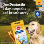 Pedigree Dentastix Oral Care Dog Treat, Adult Medium Breed (10-25 kg), 180 g, Recommended by Vets, Supports Gum Health, Reduces Risk of Gum diseases - Image 2