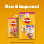 Pedigree Puppy Dry Dog Food, Chicken & Milk, 10 kg, Contains 37 Essential Nutrients, 100% Complete & Balanced Food for Puppies - Image 2