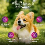 Petroyale Daily One, All-in-One Supplement for Dogs – Dog Multivitamin + Probiotics + Omega 369 – Hip & Joint, Skin & Coat, Gut Health – Soft Chew Dog Everyday Supplement for Dogs (30 Chew) - Image 2