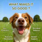 Petroyale Oral Probiotics for Dogs -9B+ CFU Dog Dental Powder for Plaque & Tartar Removal - Fresh Breath, Gum Health & Oral Care Support - Dental Powder for Dogs | 100g - Image 2