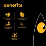 Purrkins Adult Cat Wet Food – Chicken & Liver Pudding Meal (80g x 5 Pack), Grain & Gluten Free, Complete & Balanced Meal for All Cat Breeds, High-Protein Cat Food Pouch - Image 2