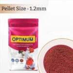 TED TABBIES New Optimum Fish Food -1Kg Highly Nutritious Fish Food for All Aquarium Fish (MiniPellet) Pouch | Highly Digestible by, all life stages - Image 2