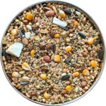The Birds Company Premium Seed Blend of 9 Grains & Nuts, Bird Feeder Food Refill, Mix Seeds for Outside Wild Birds, Indian Parrot, Sparrow, Doves, 450 g - Image 2