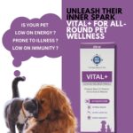 Vital+ Advanced Wellness Formula for Dogs & Cats | Multivitamin Syrup for Healthy Skin, Joints & Boosted Immunity | Nutritional Supplement with Vitamins & Minerals for Enhanced Growth - 200 ml - Image 2