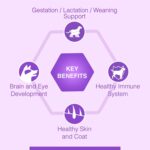 Canine Creek Ultra Premium Starter Dry Dog Food ,12.5+1Kg Total 13.5Kg Pack - Image 5