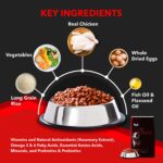 Drools Focus Starter Super Premium Dry Dog Food 1.2kg Pack | Chicken Flavour | Brain Development | Antioxidants like Vitamin E & C | Energy and Essential Nutrients - Image 4